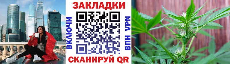 Как найти наркотики Людиново КОКАИН  Псилоцибиновые грибы  Канабис  Мефедрон  ОМГ ОМГ как зайти  APVP 