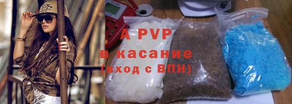 PSILOCYBIN Няндома