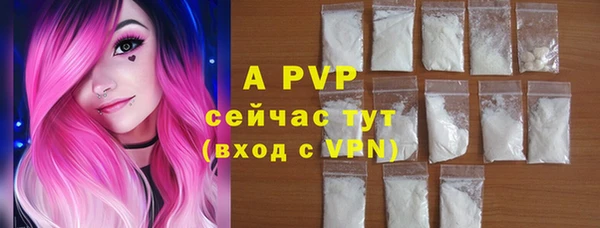 PSILOCYBIN Няндома