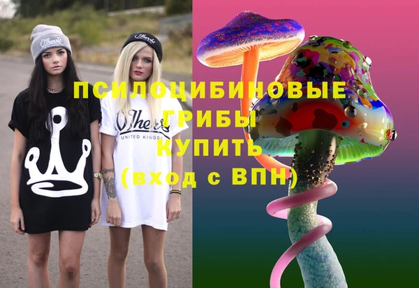 PSILOCYBIN Няндома