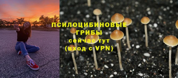 хмурый Нязепетровск