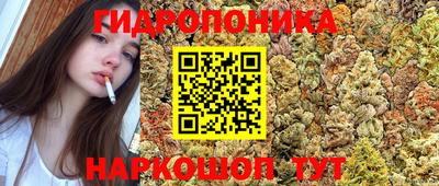 винт Абакан