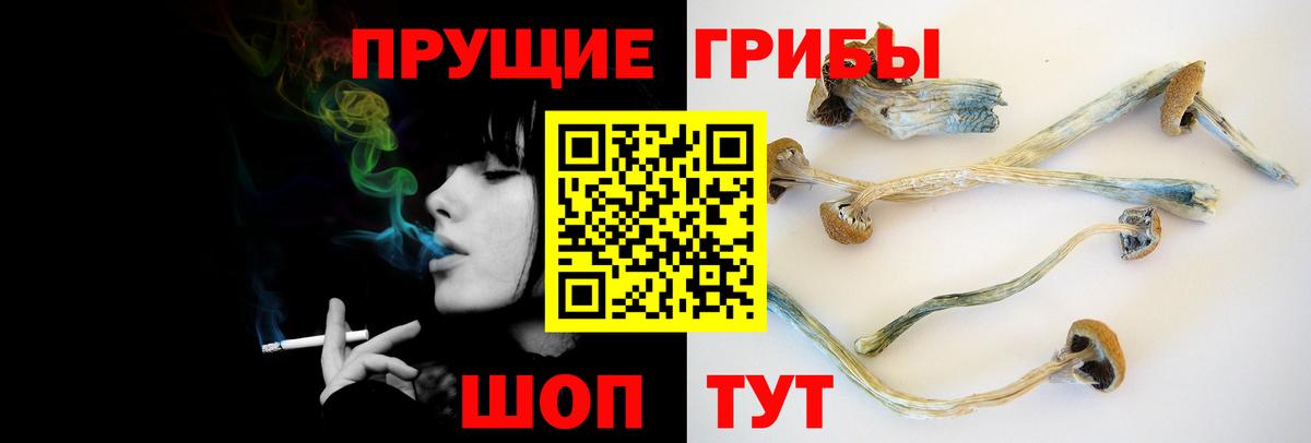 Галлюциногенные грибы MAGIC MUSHROOMS Людиново