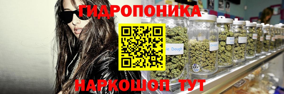 Конопля Bruce Banner  Каннабис гибрид  Бошки марихуана индика  Вход с VPN  Людиново 